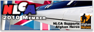 nlca logo think pink limo